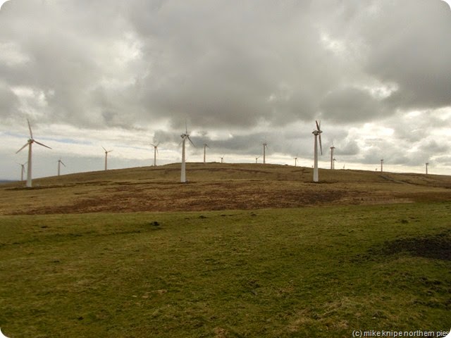windfarm!