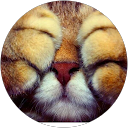 Katarzyna Zawadzka profile picture