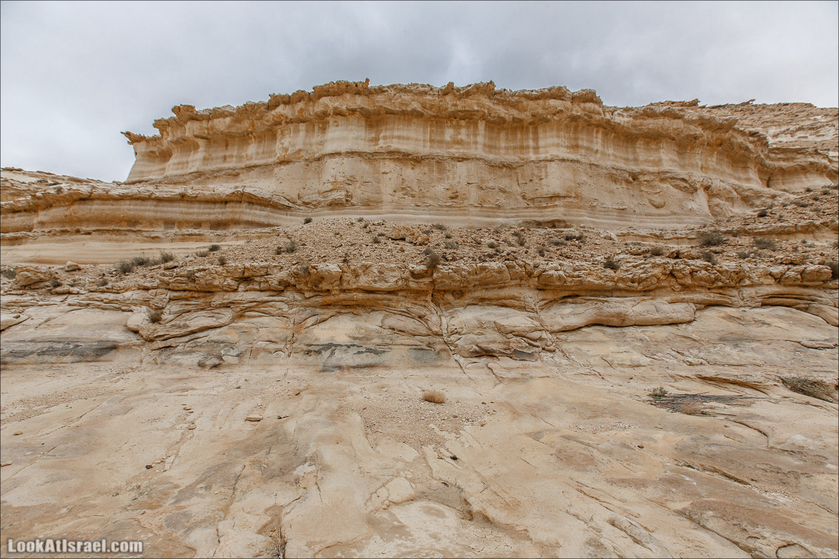 Ручей Акев и источник Эйн Акев в пустыне Негев. LookAtIsrael.com - Фото путешествия по Израилю
