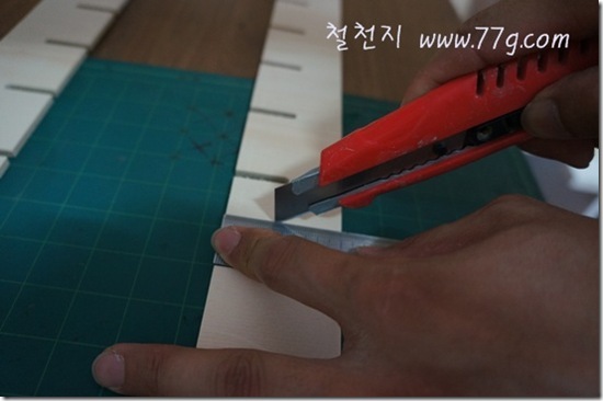 철천지DSC03613-20120619-164615