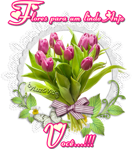 anjo%2528MB%2529maryluz.png