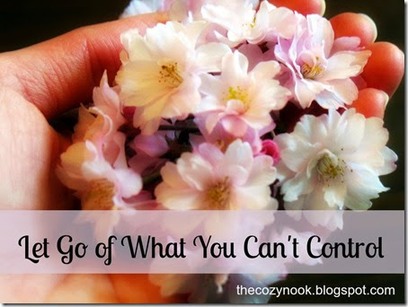 Let Go of What You Can't Control - The Cozy Nook