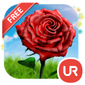 UR 3D Tulip Rose Live Theme icon