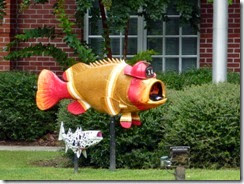 Fire Fighter Fish