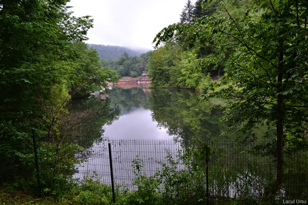 [DSC_28615.jpg]