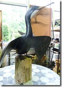 dp cormorant