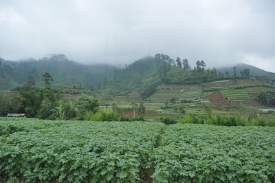 DSC_0447.JPG