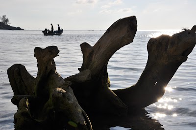 DSC_0583.JPG