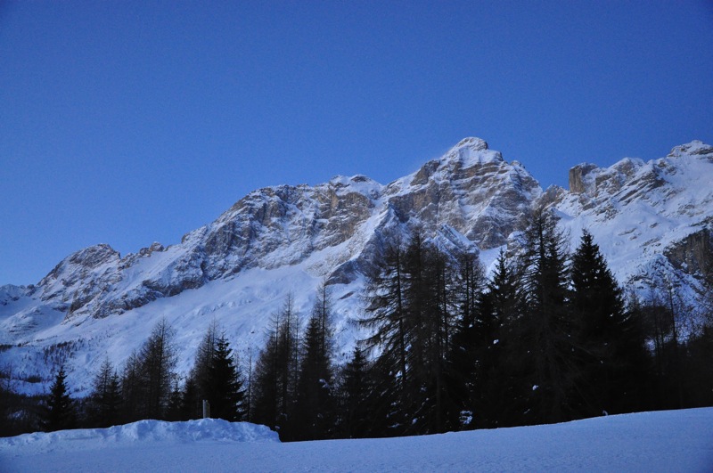 DSC_6602.JPG DSC 6602
