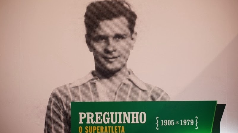 [preguinho-foto-2-802x4505.jpg]