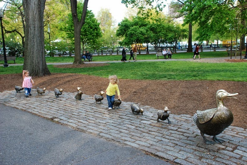 ducklings-boston-3 ducklings-boston-3