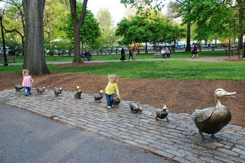 ducklings-boston-3