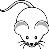 e3472bc34bba579671a4babd1bd9e5bd-simple-cartoon-mouse-clip-art.jpg