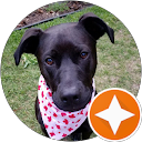 Julia Marshall profile picture