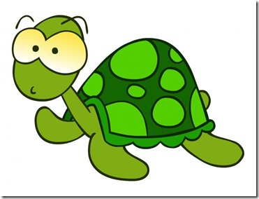 tortuga_5181302_std tortuga_5181302_std