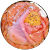 z s