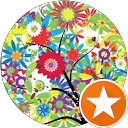 Image Google de LM 45
