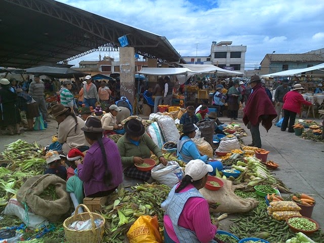 [WIN_20141009_1756544.jpg]