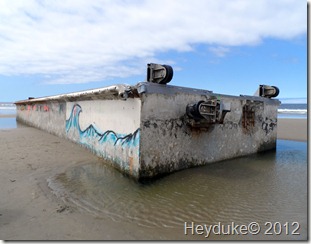 Tsunami debris