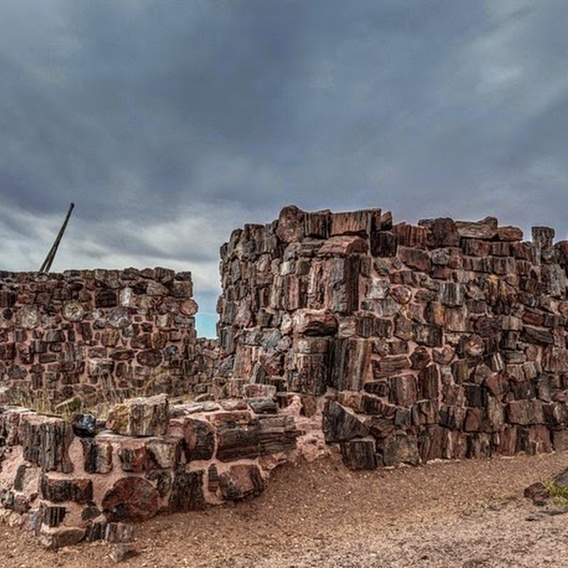 The 1,000 Year Old ‘Agate House’ Made of Petrified Wood Amusing