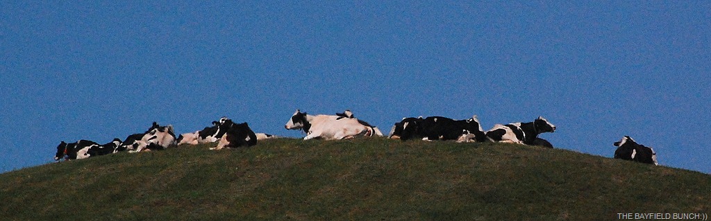 [DSC_9886%255B8%255D.jpg]