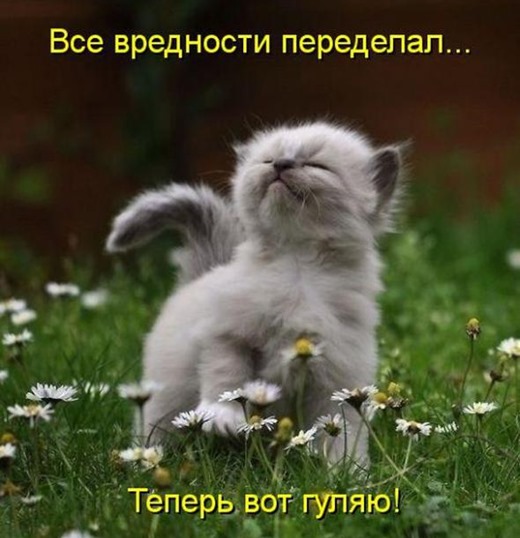 [3eb768f75301523981b00c73f80_prev%255B3%255D.jpg]