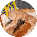Image Google de deschamps delphine