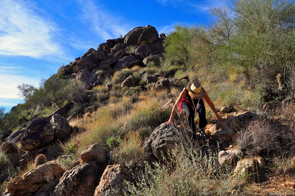 [DSC_0043%255B4%255D.jpg]