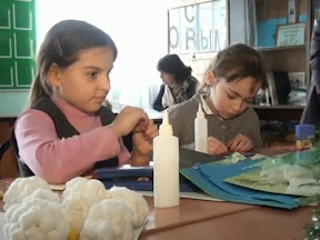 Областные призёры СЮН