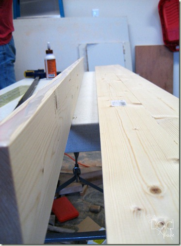 Glue boards