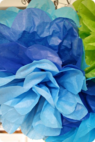 ombre tissue flowers
