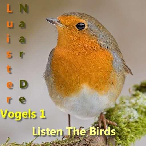 Listen The Birds 1 moded unlimitted apk - Download latest version 1.0