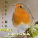 Listen The Birds 1