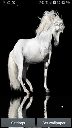 White Horse