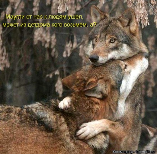 [1340032687_034%255B5%255D.jpg]