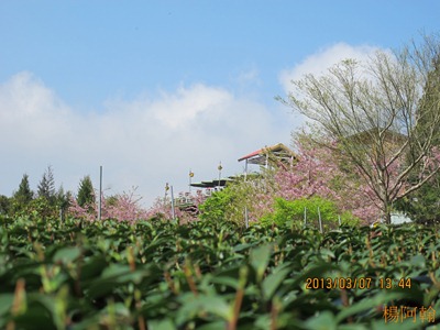 2013 恩愛農場 - 058