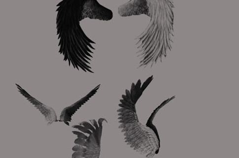 Pinceles de alas de ángel en contraste