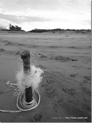 沙崙海水浴場-漁網柱子