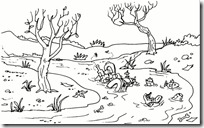 dia del medio ambiente (9)