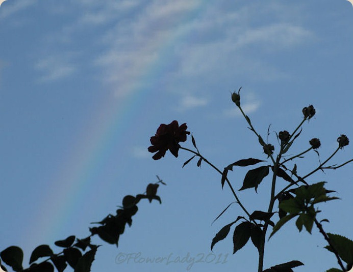 09-28-rainbow13