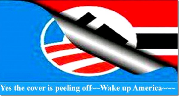 Wake Up America - Cover Peeling Off