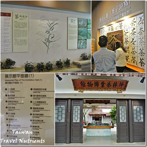坪林茶葉博物館 (4)