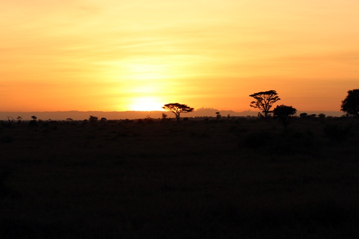 [October-18-2012-Serengeti-Sunrise3.jpg]