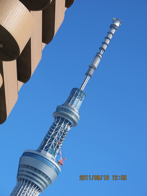[201119180685.jpg]