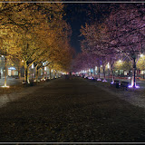 Unter den Linden (DRI)