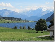 IMG_7174 IMG_7174