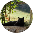 Image Google de Fabienne Saunier-Payerne
