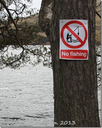 10-no-fishing