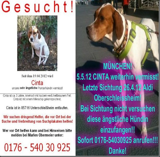 vermisste Tiere Immer noch Vermisst Cinta München