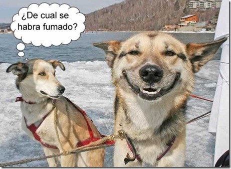 gifs risas jajaja (2) gifs risas jajaja (2)